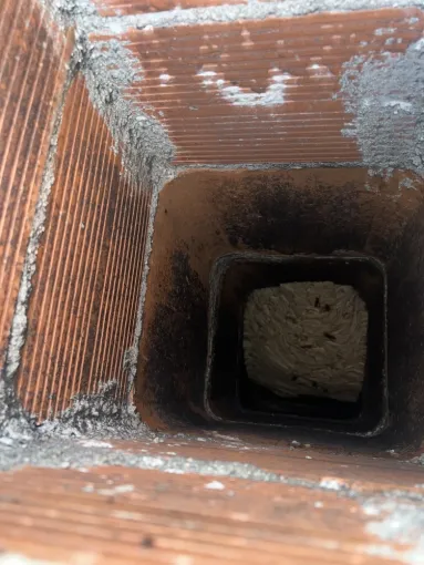 Destruction de Nid de Frelons dans une Cheminée à Draguignan : Intervention Rapide et Sécurisée, Draguignan, Pest Wars 4D