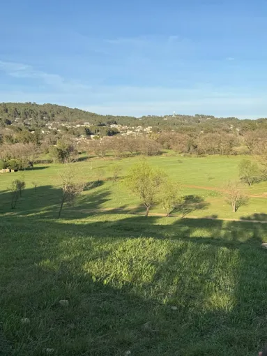 PEST WARS 4D – Expert en lutte anti-nuisibles à Draguignan et ses environs, Draguignan, Pest Wars 4D