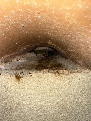 🐀 Contrat de dératisation pour les professionnels : qui est concerné et pourquoi y souscrire ?, Draguignan, Pest Wars 4D