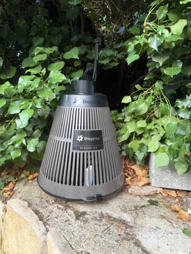 🦟 Traitement des moustiques à Lorgues : solution efficace contre le moustique tigre, Draguignan, Pest Wars 4D