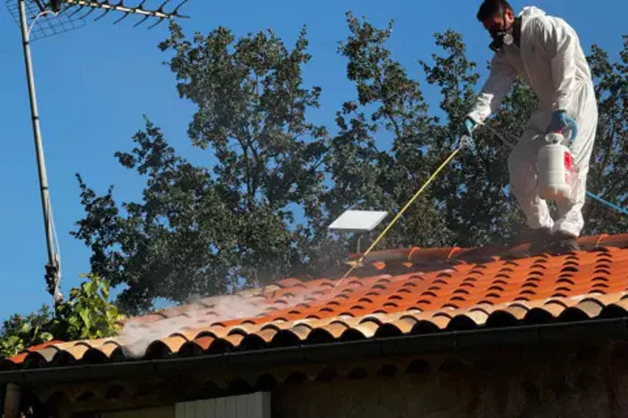 Entreprise spécialisée pour enlever un nid de guêpes à Draguignan : Intervention rapide et sécurisée, Draguignan, Pest Wars 4D