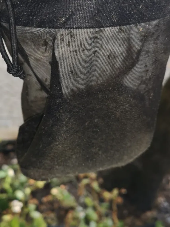 Traitement Anti-Moustiques à Draguignan et dans le Var – Pest WARS 4D, Draguignan, Pest Wars 4D