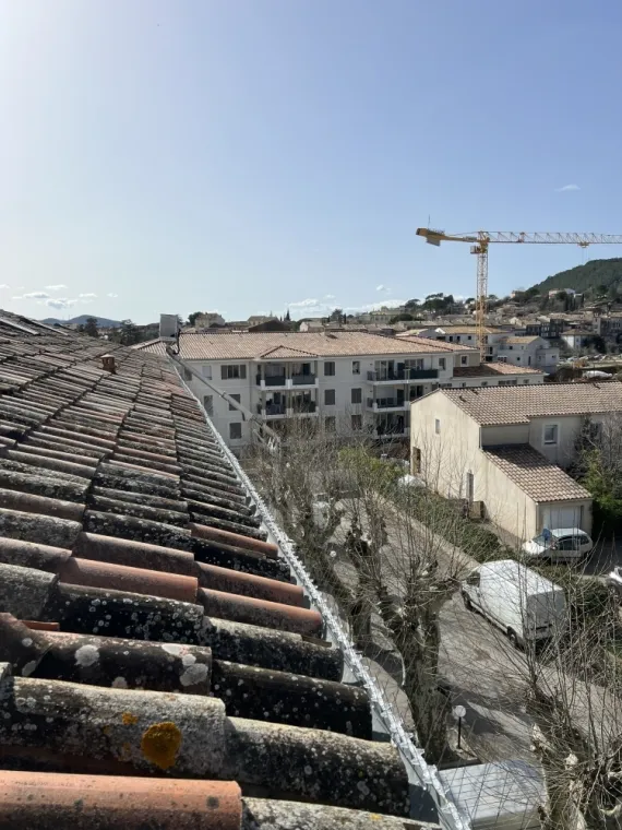 Dépigeonnage à Draguignan et ses environs : Solutions efficaces avec Pest WARS 4D, Draguignan, Pest Wars 4D
