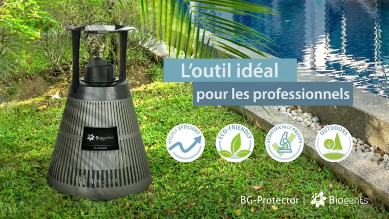Traitements anti-moustiques à Draguignan : soyez prêt avant l’invasion !, Draguignan, Pest Wars 4D