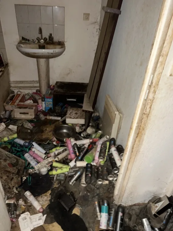 Débarras Diogène et désinsectisation à Draguignan : une solution complète pour une situation extrême, Draguignan, Pest Wars 4D