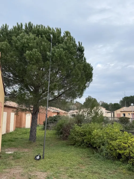 🐛 Enlèvement de nids de chenilles processionnaires en hauteur aux Arcs, Le Muy et Roquebrune-sur-Argens, Draguignan, Pest Wars 4D